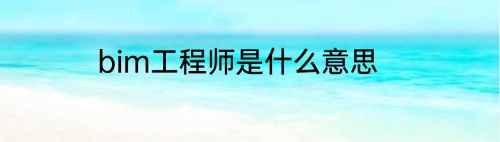 bim工程师是什么意思