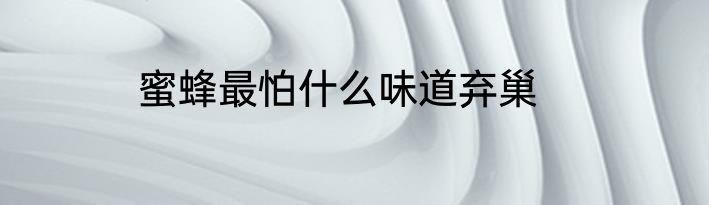 蜜蜂最怕什么味道弃巢
