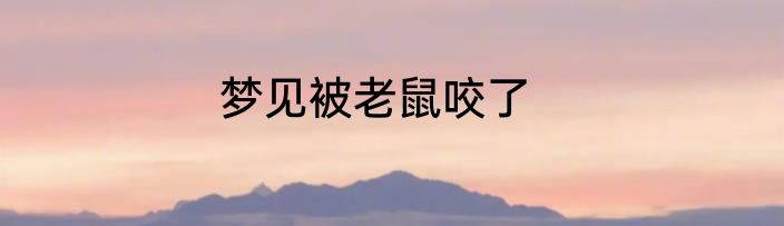 梦见被老鼠咬了
