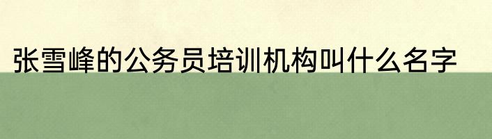 张雪峰的公务员培训机构叫什么名字