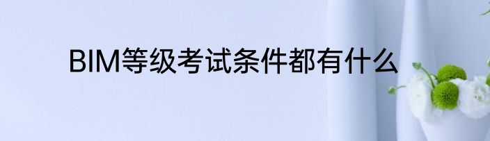 BIM等级考试条件都有什么