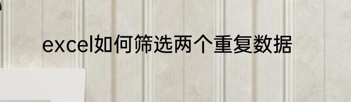 excel如何筛选两个重复数据