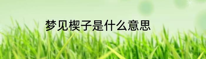 梦见楔子是什么意思