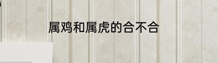 属鸡和属虎的合不合