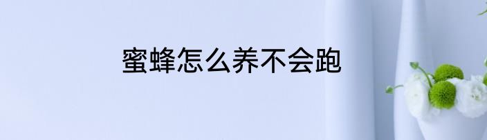 蜜蜂怎么养不会跑