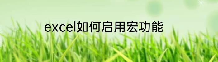 excel如何启用宏功能