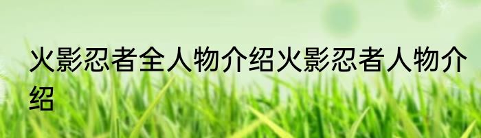 火影忍者全人物介绍火影忍者人物介绍