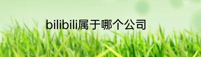bilibili属于哪个公司