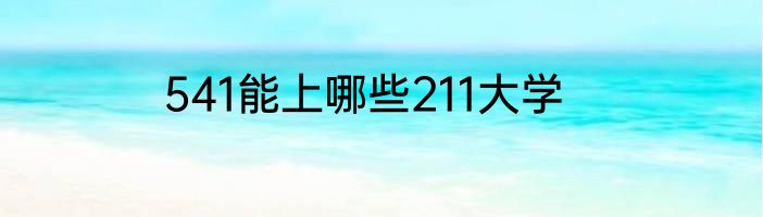 541能上哪些211大学