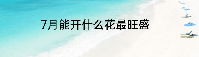 7月能开什么花最旺盛