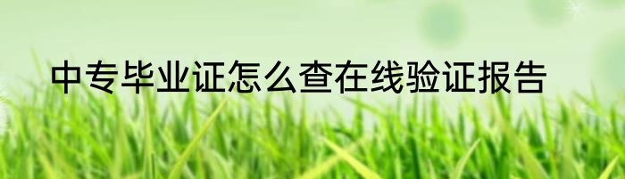 中专毕业证怎么查在线验证报告