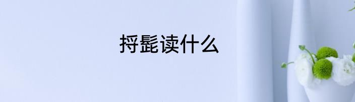 捋髭读什么