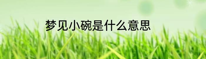 梦见小碗是什么意思