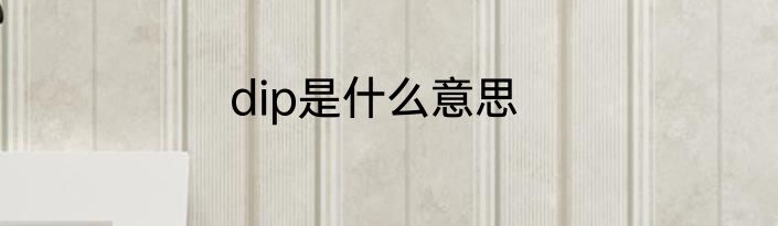 dip是什么意思