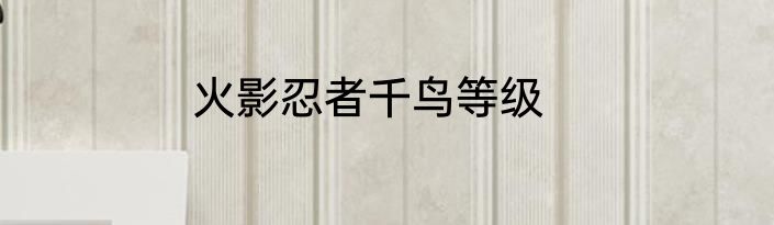 火影忍者千鸟等级