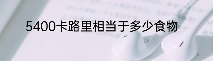 5400卡路里相当于多少食物