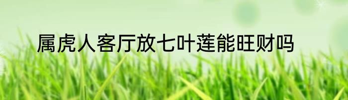 属虎人客厅放七叶莲能旺财吗