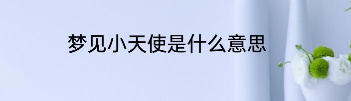 梦见小天使是什么意思
