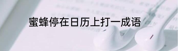 蜜蜂停在日历上打一成语