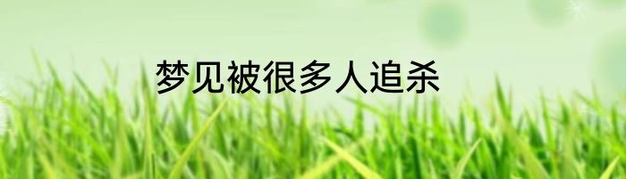 梦见被很多人追杀