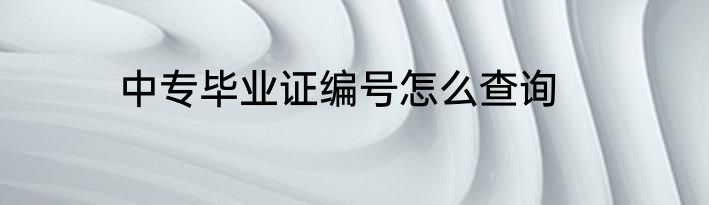 中专毕业证编号怎么查询