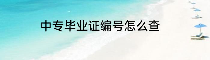 中专毕业证编号怎么查