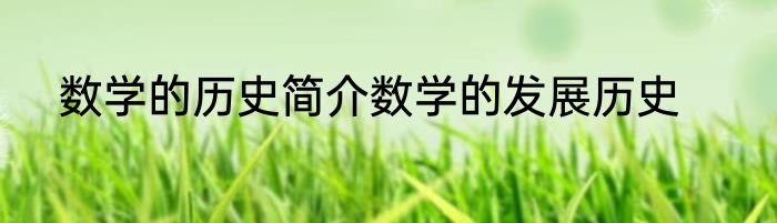 数学的历史简介数学的发展历史