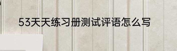 53天天练习册测试评语怎么写