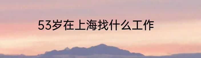 53岁在上海找什么工作