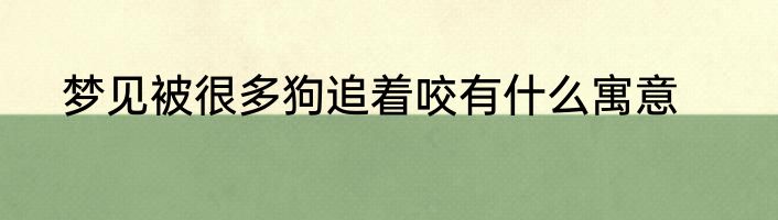 梦见被很多狗追着咬有什么寓意
