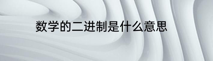 数学的二进制是什么意思