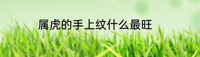 属虎的手上纹什么最旺