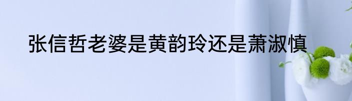 张信哲老婆是黄韵玲还是萧淑慎