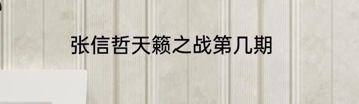张信哲天籁之战第几期