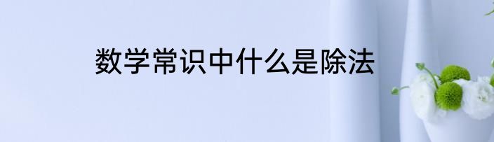 数学常识中什么是除法