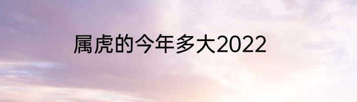 属虎的今年多大2022