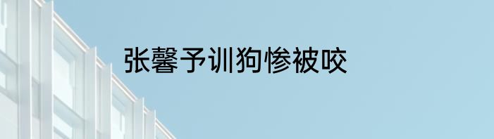 张馨予训狗惨被咬