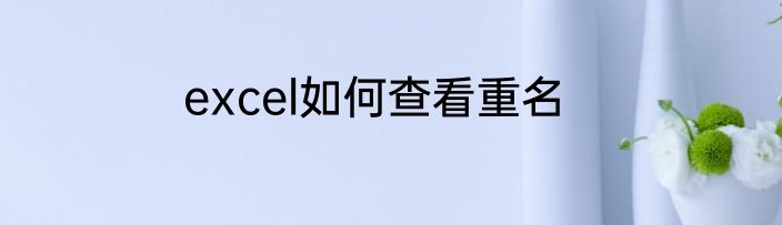 excel如何查看重名