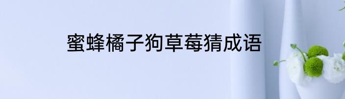 蜜蜂橘子狗草莓猜成语