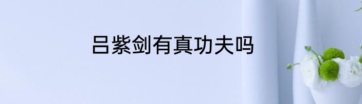 吕紫剑有真功夫吗