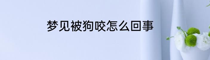 梦见被狗咬怎么回事