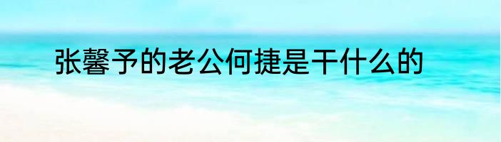 张馨予的老公何捷是干什么的