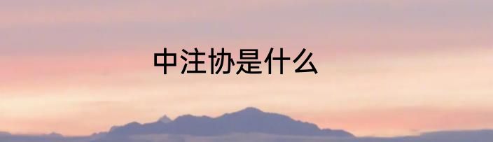 中注协是什么