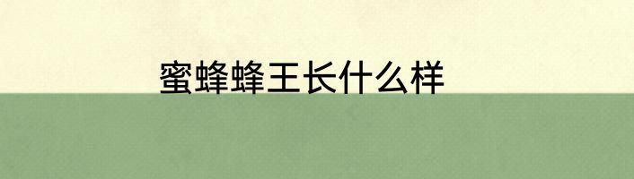 蜜蜂蜂王长什么样