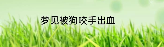 梦见被狗咬手出血