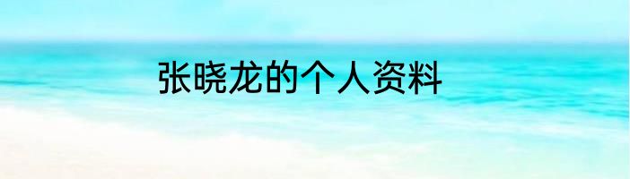 张晓龙的个人资料