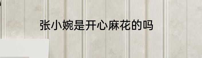 张小婉是开心麻花的吗