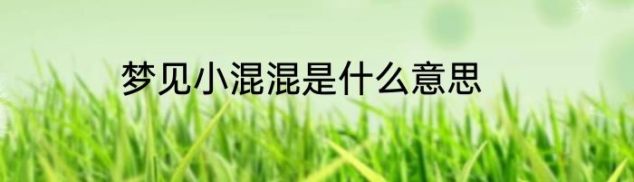 梦见小混混是什么意思