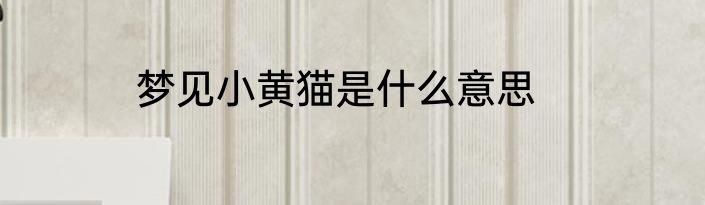 梦见小黄猫是什么意思