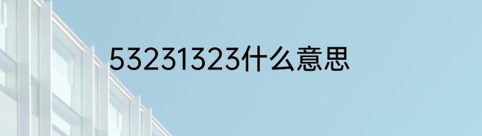 53231323什么意思